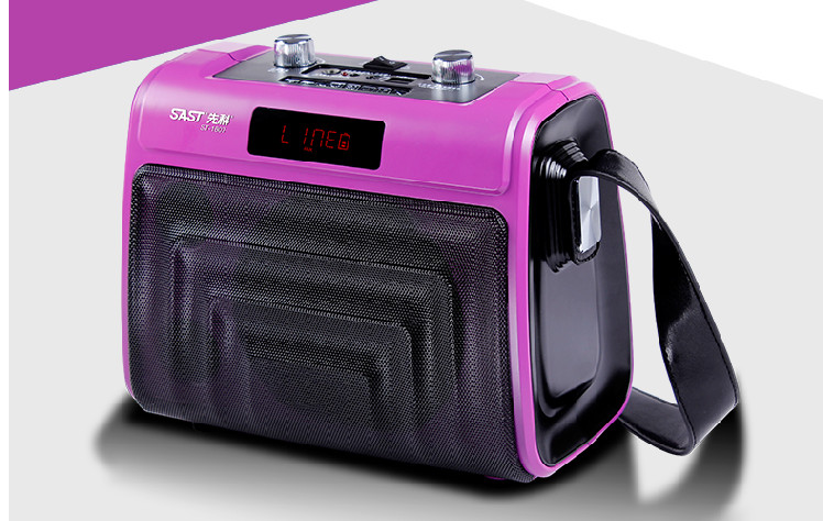 Quality Rechargeable Battery Plastic PA Speaker Box With Leather Shoulder Strap for sale