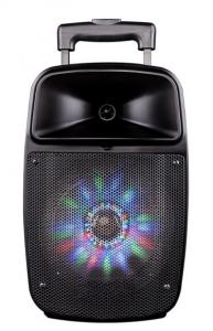 Quality 12 Inch Bluetooth Function Rechargeable Portable Trolley Speakers With Led Lights for sale