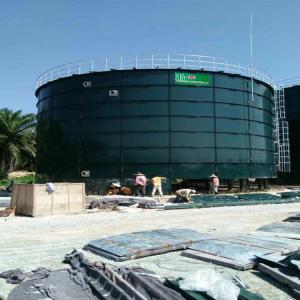 Quality 1 MW Biogas Power Plant Anaerobic Reactor Renewable Energy Plants for sale