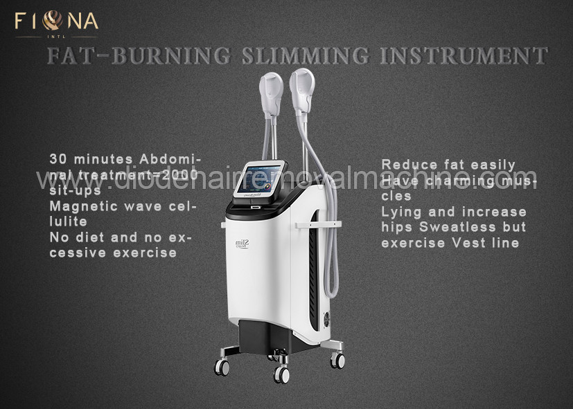 Quality Vertical Body Slimming Machine / Fat Burning Machine 18 Months Warranty for sale