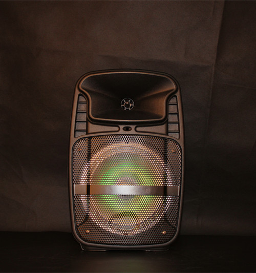 Quality Rechargeable Lithium Battery Portable Trolley Speakers With Fm Radio Function for sale