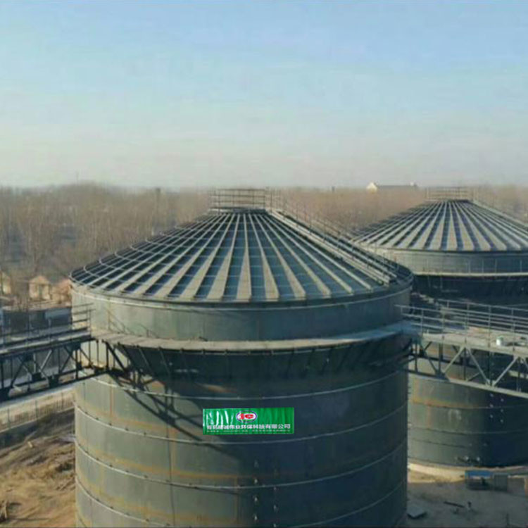 Quality EGSB Biogas Plant Project Domestic Anaerobic Biogas Digester System for sale
