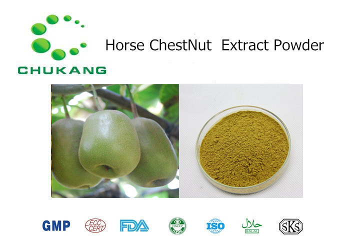 Quality Natural Plant Extract Powder Horse Chest Nut P.E. Horse Chest Nut Extract Natural Herb Powder for sale