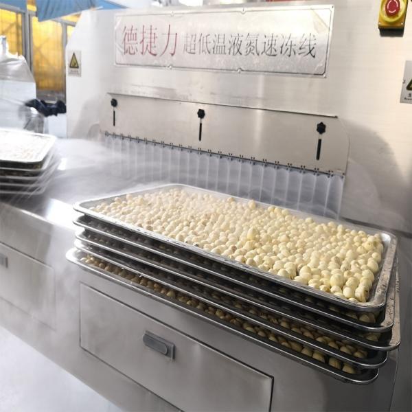 Buy DJL Food Processing Line Cryogenic Freezing Tunnel/Iqf Tunnel Freezer Equipment at wholesale prices
