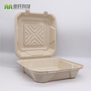 China 8x8 inches bagasse heavy duty take out lunch box hinged clamshell container on sale