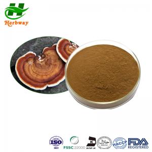 Quality Organic Reishi Mushroom Extract Powder Ganoderma Lucidum Powder 10%-50% Polysaccharides Powder for sale