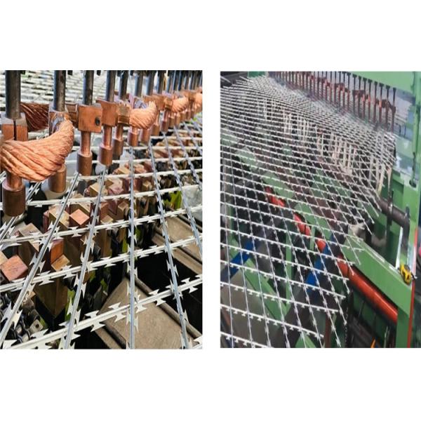 Welded Razor Mesh Protective Fence 75X150mm For Prison Or Welded Razor Mesh Gives A Premium Protective F