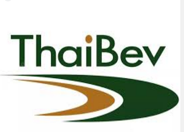 Carton Wrapping Machine For 18,000 BPH Beverage Aseptic Line High-Speed Efficient And Reliable