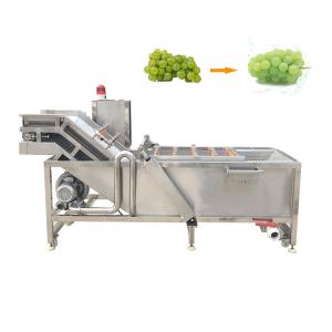 Quality Green Beans 100 Pound Industrial Washing Machine Prices With Great Price for sale