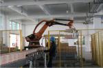 Automatic Robot Packaging Machines Robot Palletizer Carton Loader 30 KW