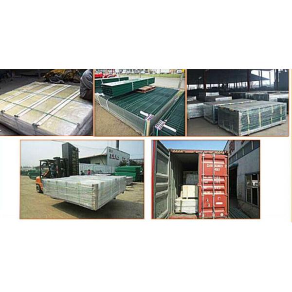 PVC Coated Security Protected Fence/Wire Mesh Fence