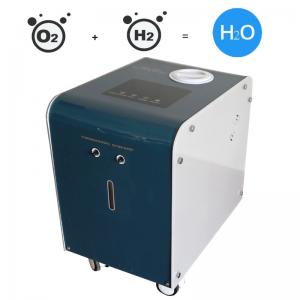 Quality PEM Electrolyser Hydrogen Absorber Generator Hydrogen for Cancer Treatment for sale