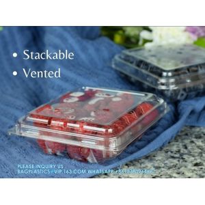 Wholesale Transparent Fresh Strawberry Packaging Container Supermarket Food