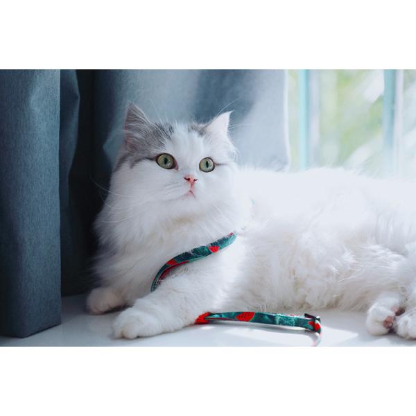 Sublimation Large Cat Harness And Leash Cat Halter For Walking