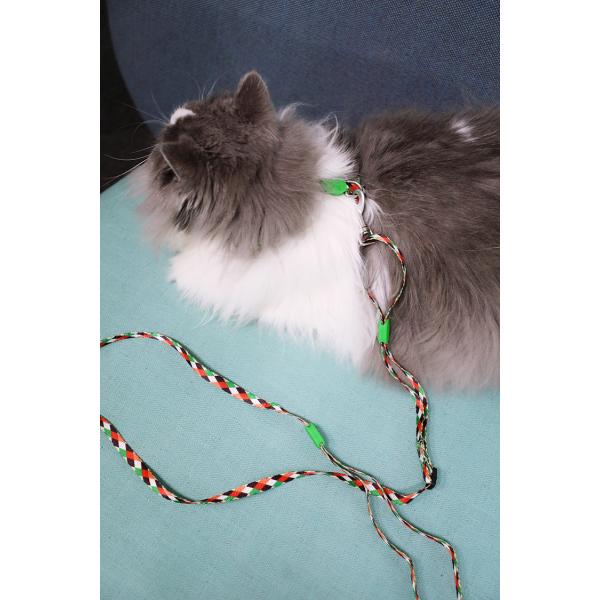 Small Cat Walking Harness And Leash Travel Use