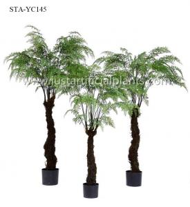 China Tropical Artificial Outdoor Ferns Palm Tree Environmental Customized Size on sale