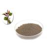 Premium Perilla Seed Natural Agricultural Products As Traditional Condiment for sale