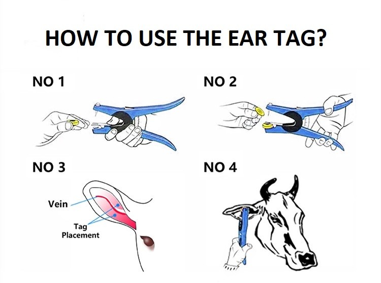 Plastic 100mm Livestock Ear Tags Sheep Goat TPU Yellow