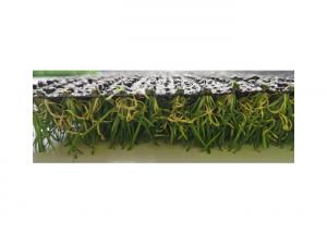 Quality SBR Latex Playground Turf 25mm Astro Turf Playground Surfaces for sale