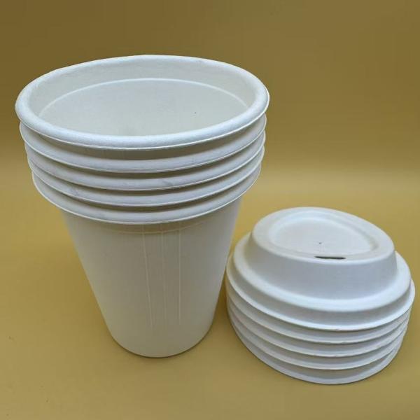 Disposable Tableware Eco-Friendly Solution For Serving Beverages Paper Pulp cup with lid