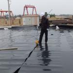 Professional Solution Capability 3D Model Design HDPE Geomembrane Pond Liner
