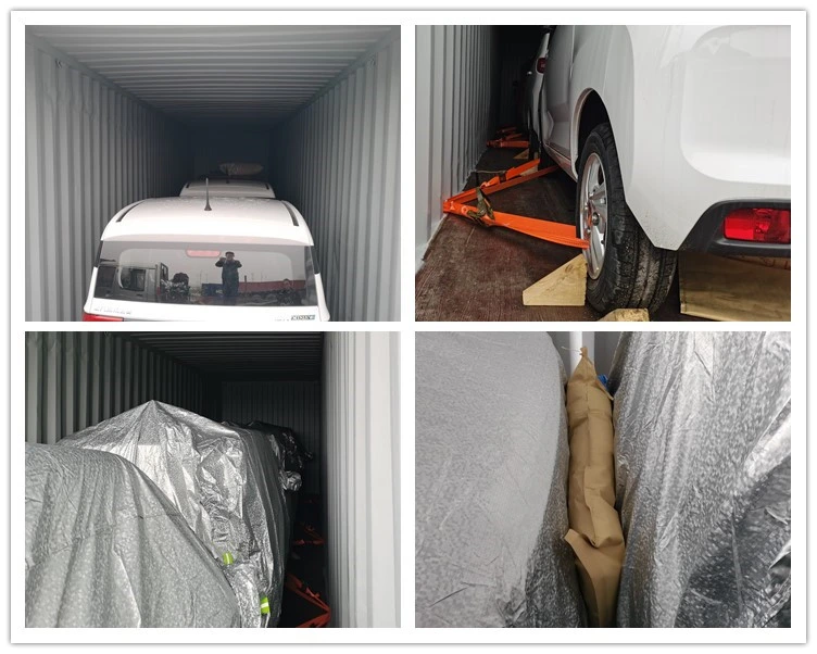 China Raysince Factory Hot Sales Model Cars Electric Sedan Four Seat Five Door New Energy Mini Electric Car for Adults