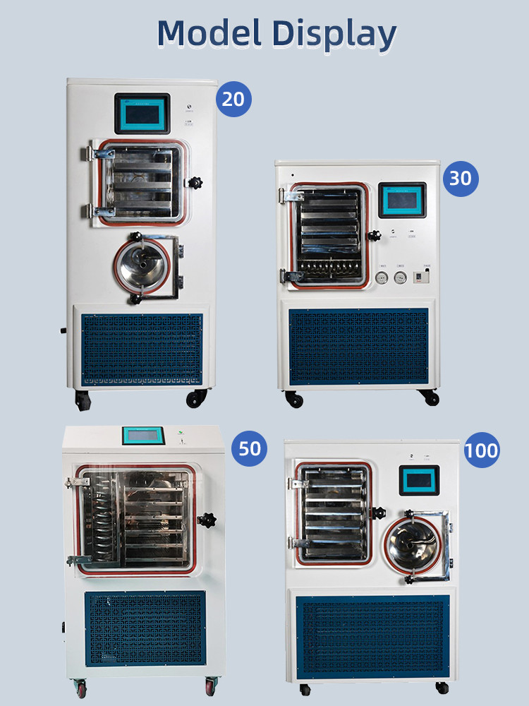 Household Vacuum Freeze Dryer Pet Food Meat Fruit Tea Freeze Dryer Manufacturers