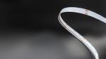LEDCORP RGB Flex Strip / Neon Structure IP20/IP67 The Perfect Combination of and