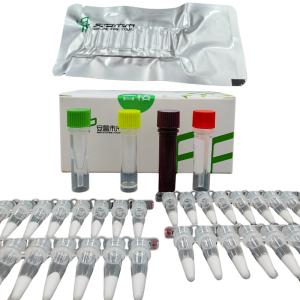 Quality 14 Months Validity EXO Pseudomonas Aeruginosa Pathogen Detection Kit for sale