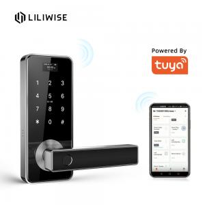 China Tuya Biometric Fingerprint Door Lock Handle Digital Keyless Smart Door Lock on sale