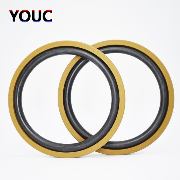 SPGO Seal For Hydraulic Cylinders With NBR/FKM O-Ring For Heavy Duty Machinery