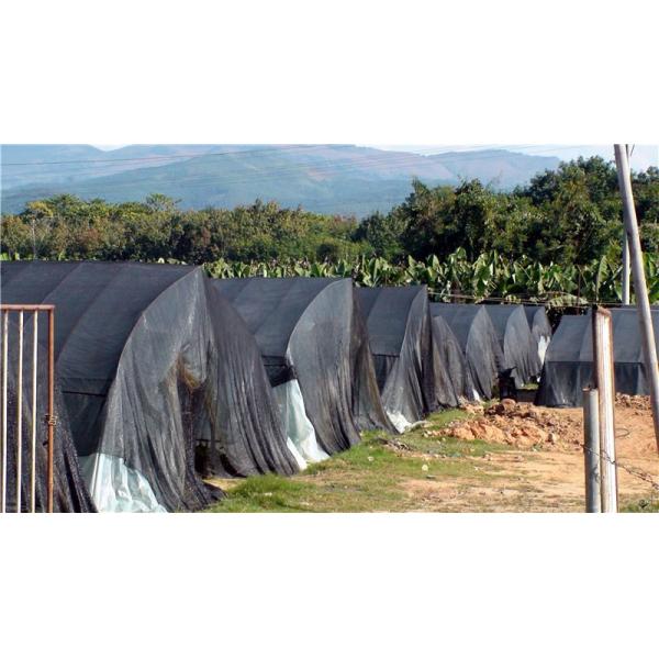 High Tensile Strength insect netting for greenhouse Black 0.6 * 0.6mm ISO 9001