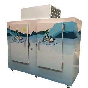 China Large Capacity 1000L Ice Storage Bagged Freezer Refrigerator with 2 Doors on sale