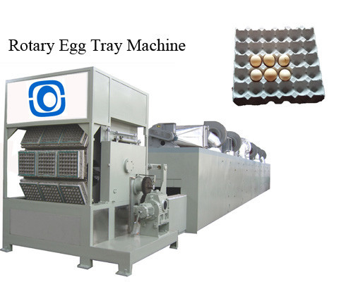 Recycling Pulp Egg Tray Machine 2000 Pieces/H Custom Manufacturing Plant Type