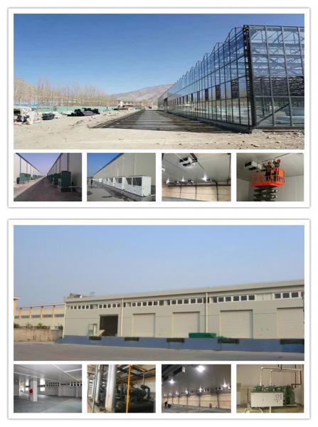 Fin Coils Coolroom Evaporator Air Cooled Condenser In Refrigeration Cycle