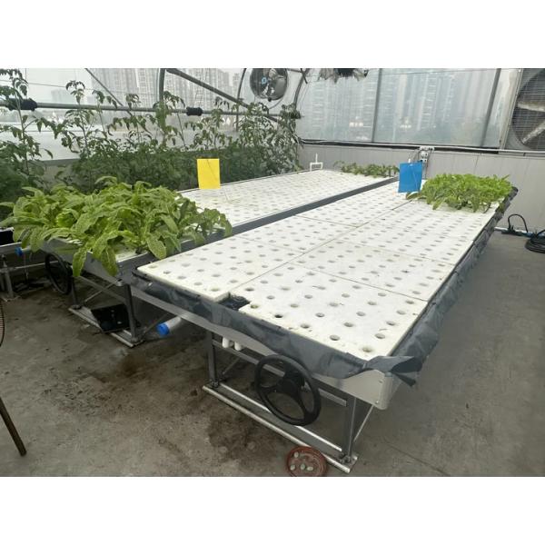 Ebb&Flow Rolling Bench Floating Board DWC Deep Water Culture Greenhouse Soilless Vegetables Cultivation