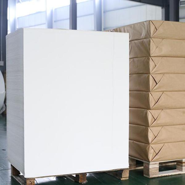 A4 Size Lamination Sheet Paper Cup Bowl Raw Material Coated Art Printer Paper