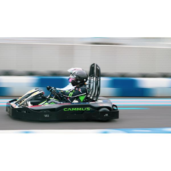60 - 70km/h Adult Electrical Go Kart With APP Adjustment Control