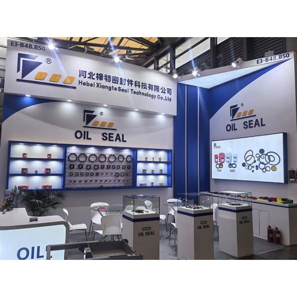 Single Lip Rubber NBR Oil Seals Rotary Shaft Oil Seal Skeleton Oil Seal