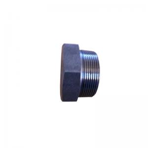 China High Pressure 3000 PSI Q235 Stainless Steel Forged Fittings on sale