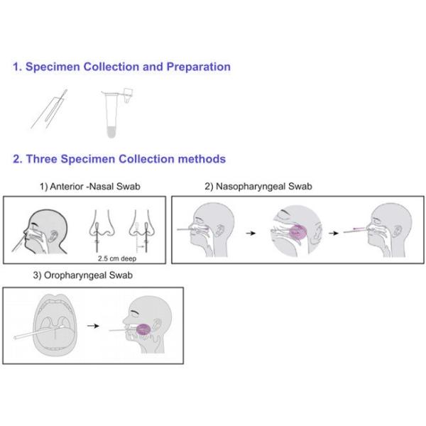 Covid 19 Antigen Rapid Self Test Kit Rtk Home Test 10 Tests/Kit CE Sensitivity 98%