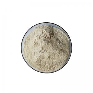 Quality Khaki To Pale Yellow Soybean Lecithin Powder PC Phosphatidylcholine Soy Lecithin for sale