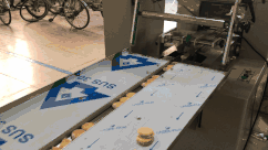 Two Lane Single Color Biscuit Cream Sandwiching Machine Schneider Electric