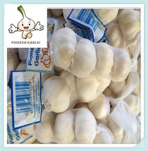 China 2016 Fresh and Dry Garlic - Chinese Garlic Exporters chinese normal white garlic on sale