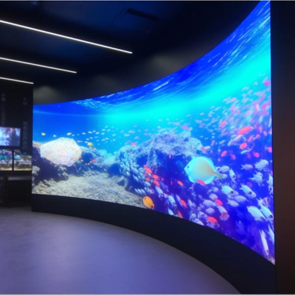 Commercial Digital 3D Effect Curved LED Display Screen with 960*960*90mm Cabinet Size