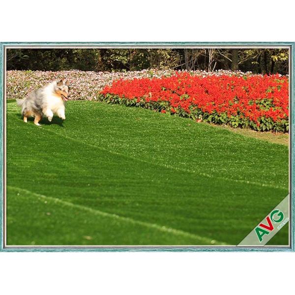 UV Resistant Dog Pet Artificial Turf / Synthetic Grass Eco Friendly Installation