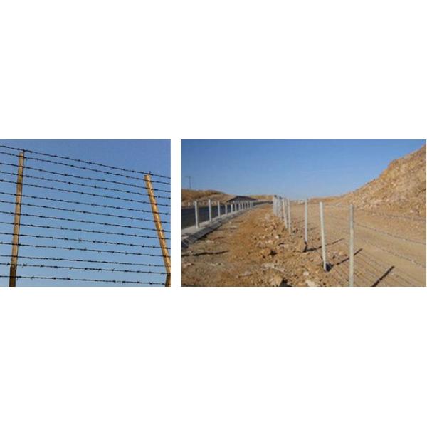 Security 12-1/2 Gauge 4 Points High Tensile Barbed Wire Galvanized Fence for Rust Prevention