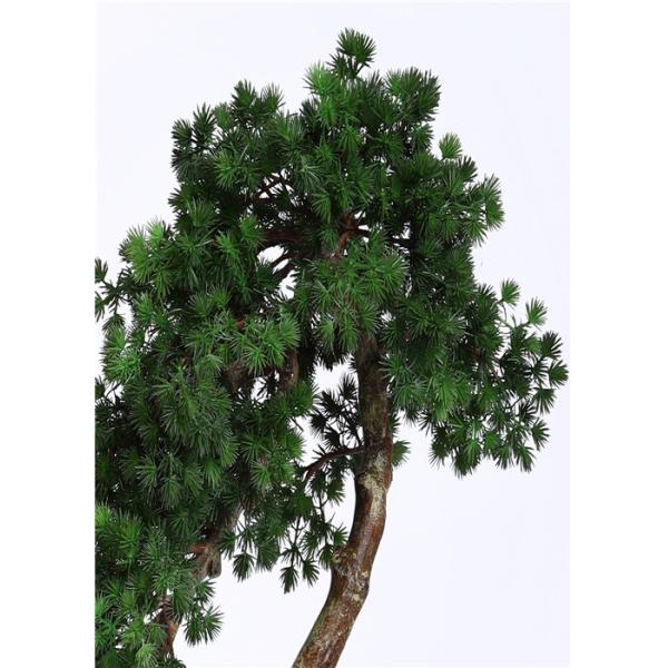 Household Preserved Bonsai BC066 Tree Residential With Plastic Grow Pot Base