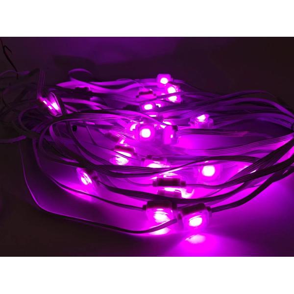 Decoration building 24V String Point Smart Eaves Lighting Holiday Ambilight 100ft RGBIC LED Permanent Eaves Light