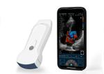 Wifi Handheld Ultrasound Scanner Portable Convex Linear Cardiac Multifrequency